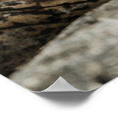 ALLIGATOR EYE POSTER (Ecke)