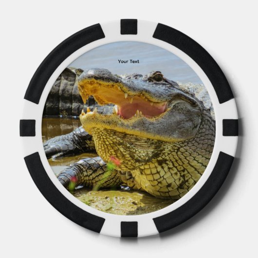 Alligator. Face to face Pokerchips (Vorderseite)