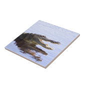 Alligator Fliese (Seite)