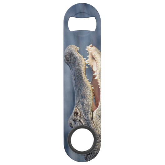 Alligator Florida Everglades Wildlife Fun Foto Speed Flaschenöffner (Vorderseite)