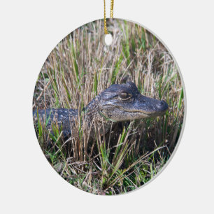 Alligator Florida Niedlich Baby Keramik Ornament