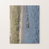 Alligator Florida Wasserart Puzzle (Vertikal)