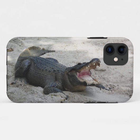 Alligator, Fort Lauderdale, Florida Case-Mate iPhone Hülle (Rückseite (Horizontal))
