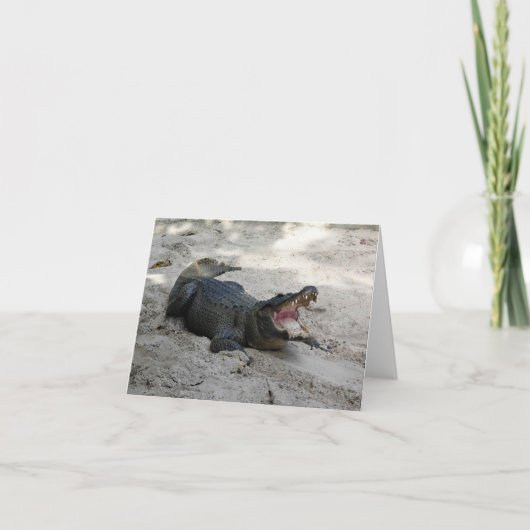 Alligator, Fort Lauderdale, Florida Dankeskarte (Vorderseite)