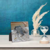 Alligator, Fort Lauderdale, Florida Fotoplatte (InSitu)