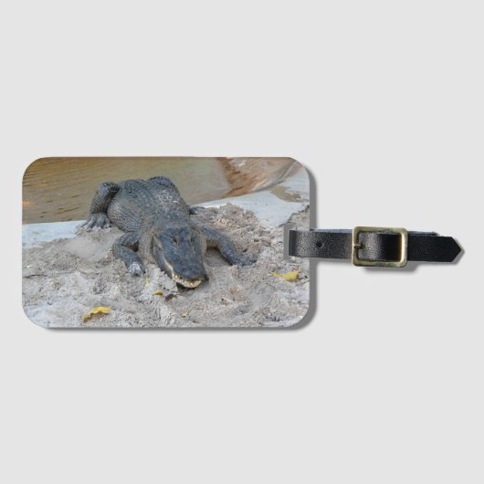 Alligator, Fort Lauderdale, Florida Gepäckanhänger (Vorderseite (Horizontal))