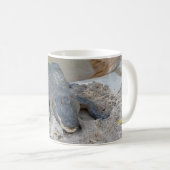 Alligator, Fort Lauderdale, Florida Kaffeetasse (VorderseiteRechts)
