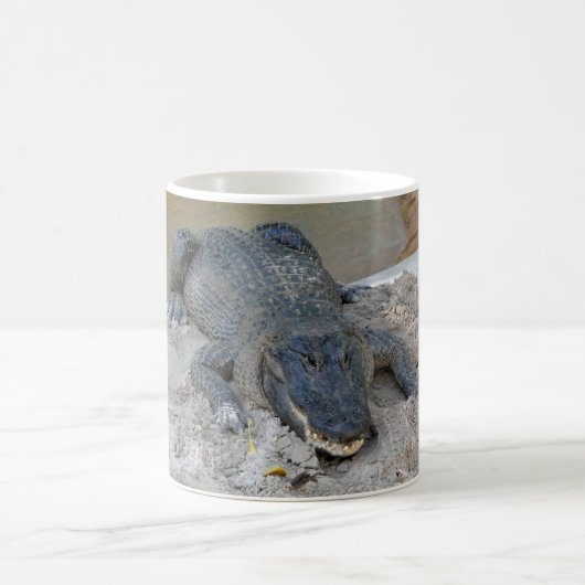 Alligator, Fort Lauderdale, Florida Kaffeetasse (Mittel)