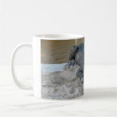 Alligator, Fort Lauderdale, Florida Kaffeetasse (Links)