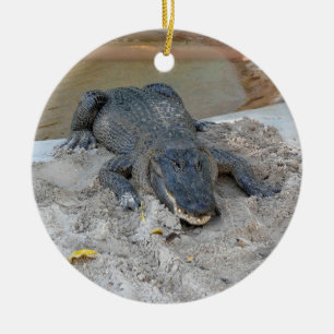 Alligator, Fort Lauderdale, Florida Keramik Ornament