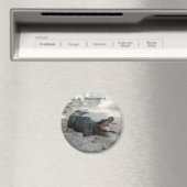 Alligator, Fort Lauderdale, Florida Magnet (In Situ (Geschirrspüler))