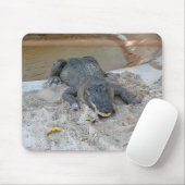 Alligator, Fort Lauderdale, Florida Mousepad (Mit Mouse)
