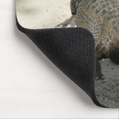 Alligator, Fort Lauderdale, Florida Mousepad (Ecke)