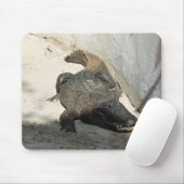 Alligator, Fort Lauderdale, Florida Mousepad (Mit Mouse)