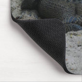 Alligator, Fort Lauderdale, Florida Mousepad (Ecke)