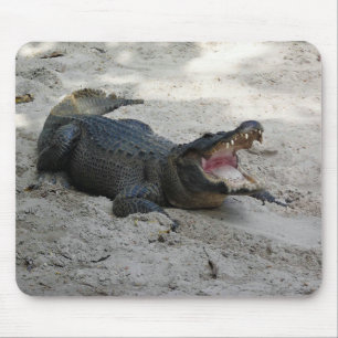 Alligator, Fort Lauderdale, Florida Mousepad