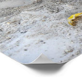 Alligator, Fort Lauderdale, Florida Poster (Ecke)