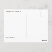 Alligator, Fort Lauderdale, Florida Postkarte (Rückseite)