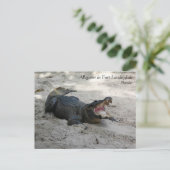 Alligator, Fort Lauderdale, Florida Postkarte (Stehend Vorderseite)