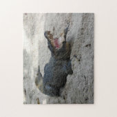 Alligator, Fort Lauderdale, Florida Puzzle (Vertikal)