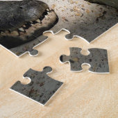 Alligator, Fort Lauderdale, Florida Puzzle (Seite)
