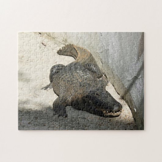 Alligator, Fort Lauderdale, Florida Puzzle (Horizontal)