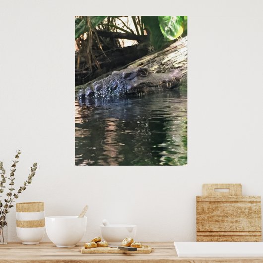 Alligator Foto Poster (Küche)