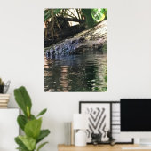 Alligator Foto Poster (Heimbüro)