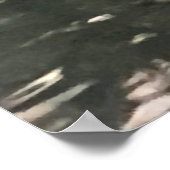 Alligator Foto Poster (Ecke)