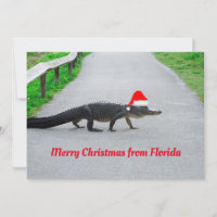 Alligator Frohe Weihnachten aus Florida lustig