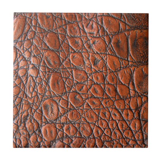 Alligator für tierische Imitate Fliese (Vorderseite)