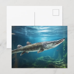 Alligator, Gänsefische schwimmen Fisch Postkarte