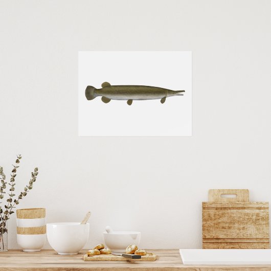 Alligator Gar Poster (Küche)