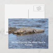 Alligator Gator Postkarte (Vorne/Hinten)