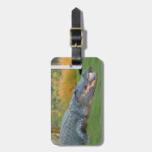 Alligator, gefährliche Lüge im Golf Gepäckanhänger (Vorderseite vertikal)