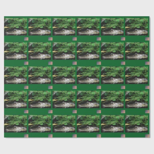 Alligator-Geschenkpapier Geschenkpapier (Flach)