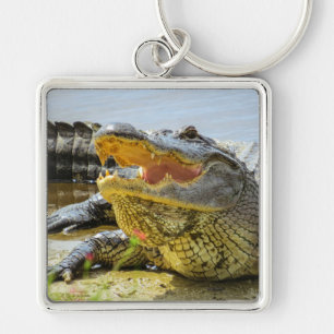 Alligator. Gesichter Schlüsselanhänger