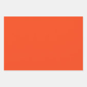 Alligator - Go Gators Geschenkpapier Set (Vorderseite 2)