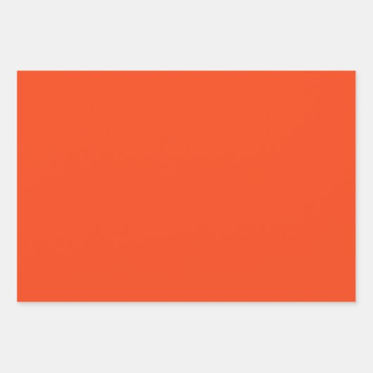 Alligator - Go Gators Geschenkpapier Set (Vorderseite 2)