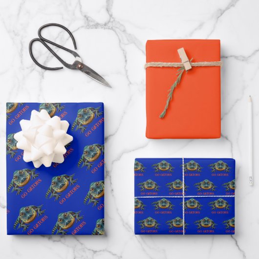 Alligator - Go Gators Geschenkpapier Set (Vorderseite)