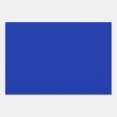 Alligator - Go Gators Geschenkpapier Set (Vorderseite 2)