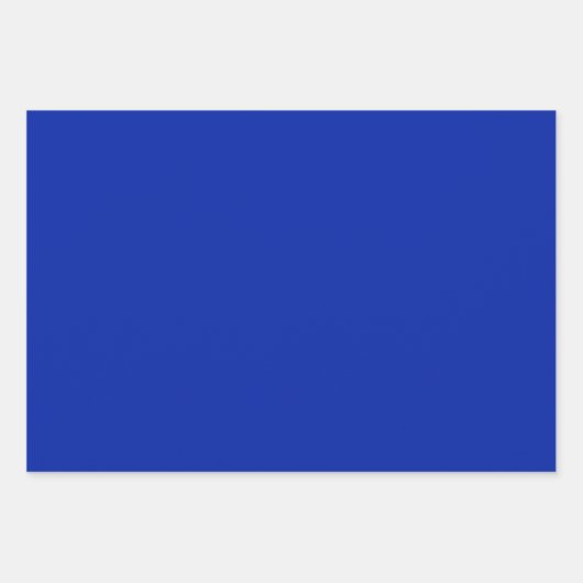 Alligator - Go Gators Geschenkpapier Set (Vorderseite 2)