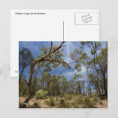 Alligator Gorge, Südaustralien Postkarte (Vorne/Hinten)