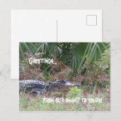 Alligator Greetings Postcard Postkarte (Vorne/Hinten)