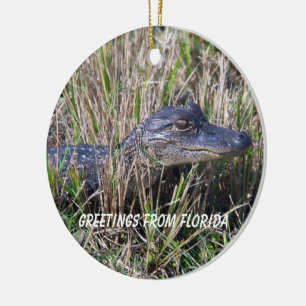 Alligator Grüße aus Florida Keramik Ornament