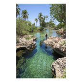 Alligator Hole, Black River Town, Jamaika Fotodruck (Vorne)