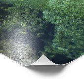 Alligator Hole, Black River Town, Jamaika Fotodruck (Ecke)