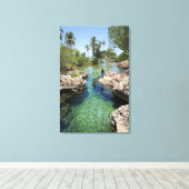 Alligator Hole, Black River Town, Jamaika Leinwanddruck (Insitu (Holzboden))