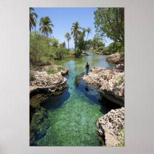 Alligator Hole, Black River Town, Jamaika Poster