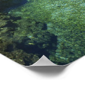 Alligator Hole, Black River Town, Jamaika Poster (Ecke)